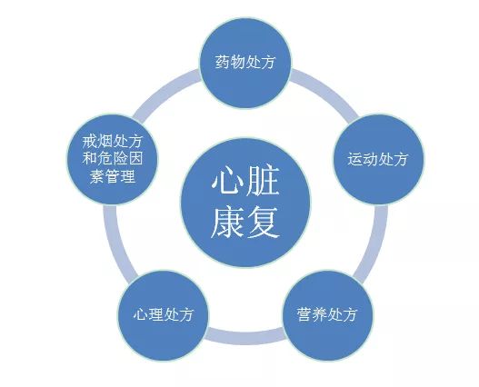 世界物理治療日 | 心臟支架或搭橋術后，科學運動是康復關鍵